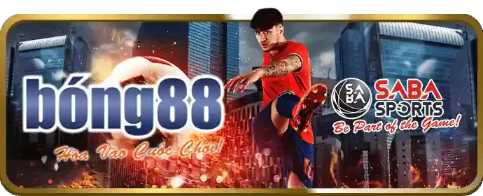 Tin tức thể thao mb66b9